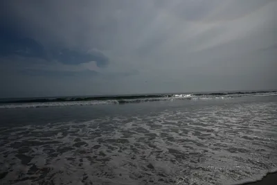 DSC_2245 (Large).JPG